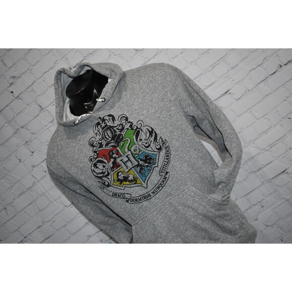 Wizarding World Harry Potter Slytherin Draco Hoodie Mens Size XL Gray - Picture 2 of 5